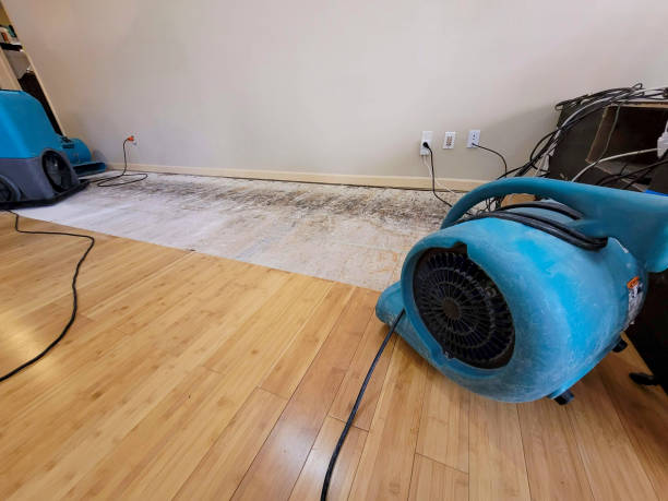 Professional Flood Damage Cleanup technician working in Leslie, MI