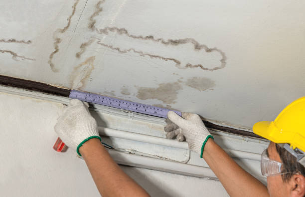 Affordable Flood Damage Cleanup solutions in Leslie, MI